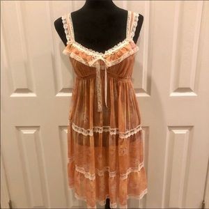 Victoria’s Secret Angels Sheer Chemise Slip Dress